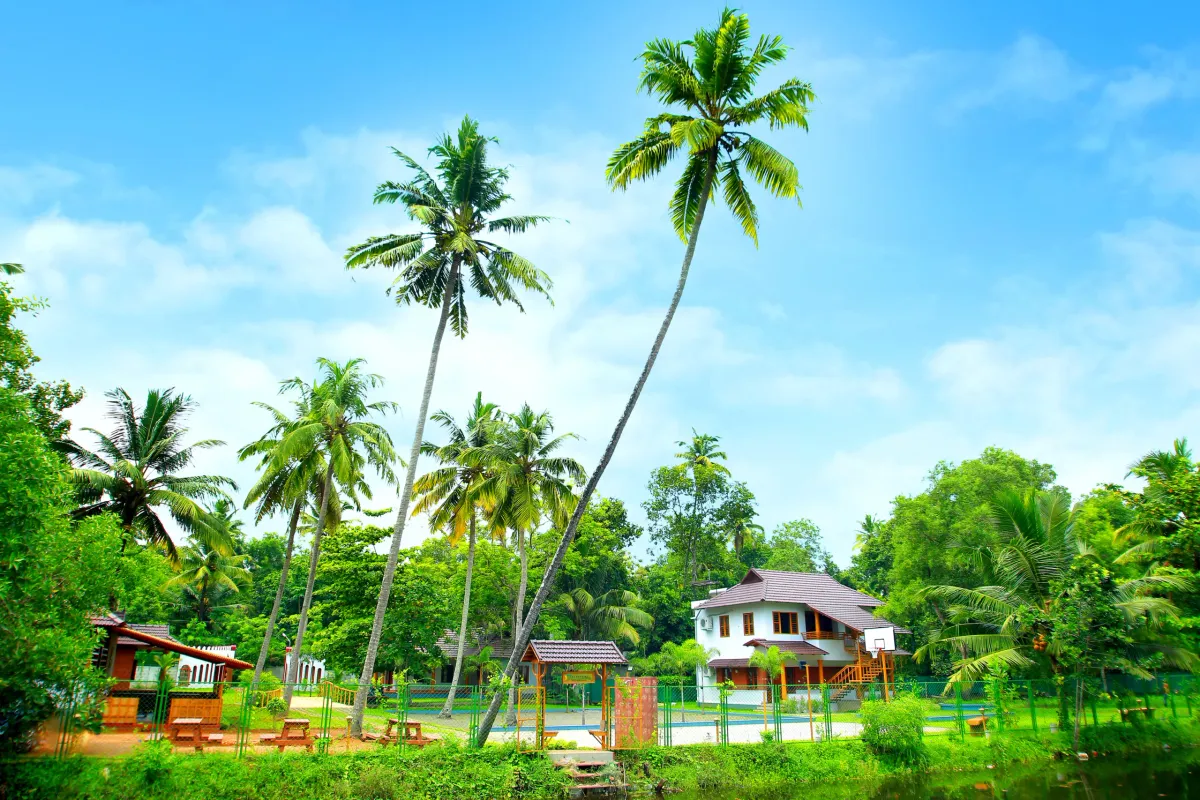 Casa Marari villa and cottages among tall coconut palms