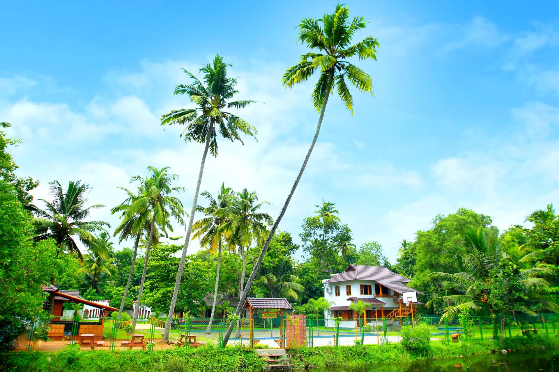 Casa Marari villa and cottages among tall coconut palms in Mararikulam, Alappuzha