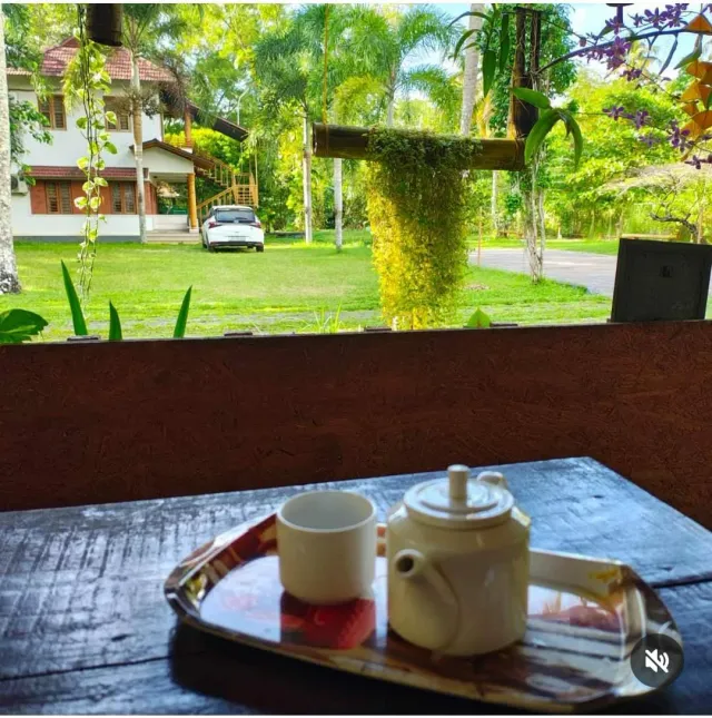Pot of tea on a wooden counter overlooking the lawn